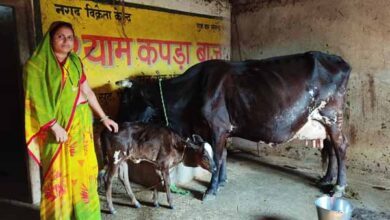 गौ पालन से गृहिणी रुक्मणी पटेल बनी आर्थिक स्वावलंबन की मिसाल