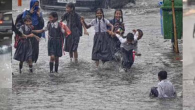 छत्तीसगढ़ में 16 जुलाई से लगातार बारिश के आसार, आज 4 जिलों में भारी बारिश का अलर्ट, उमस भरी गर्मी से मिलेगी राहत