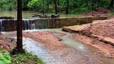 बगनई नरवा विकास से भू-जल स्तर में बढ़ोत्तरी, रोजगार और सिंचाई के साधन बढ़े