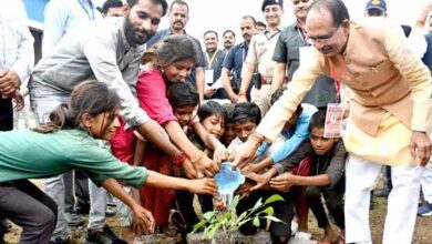 मुख्यमंत्री चौहान ने बीना रिफाइनरी हेलीपेड पर बादाम का पौधा रोपा