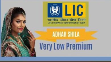 LIC के एजेंट के लिए Good news, सरकार के इन 4 बड़े ऐलान से बल्ले-बल्ले