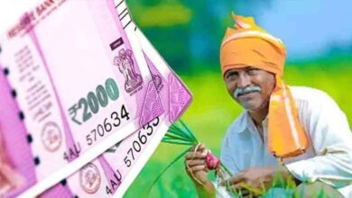 PM KISAN योजना की 15वीं किस्त इस दिनआएगी खाते में!