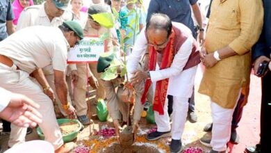 मुख्यमंत्री शिवराज सिंह चौहान ने ओरछा में पौधरोपण किया