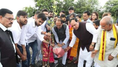 मुख्यमंत्री चौहान के साथ पत्रकारों और सामाजिक कार्यकर्ताओं ने पौधे लगाए