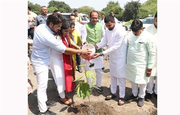 मुख्यमंत्री चौहान ने बरगद, गूलर और बेलपत्र के पौधे रोपे