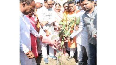 मुख्यमंत्री चौहान ने सामाजिक संगठनों के सदस्यों और विद्यार्थियों के साथ लगाए पौधे