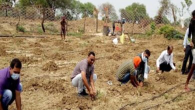 जमीन के नीचे धधक रही आग और ऊपर जुटा रहे हरियाली