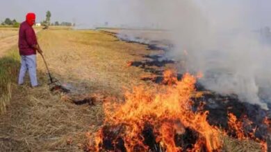 बांदा जिले में पराली जलाने को लेकर किसानों पर कार्रवाई, वसूला गया भारी भरकम जुर्माना