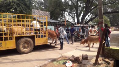 रोका छेका एवं सम्पत्ति विरूपण के लिए नई टीम का किया गया गठन