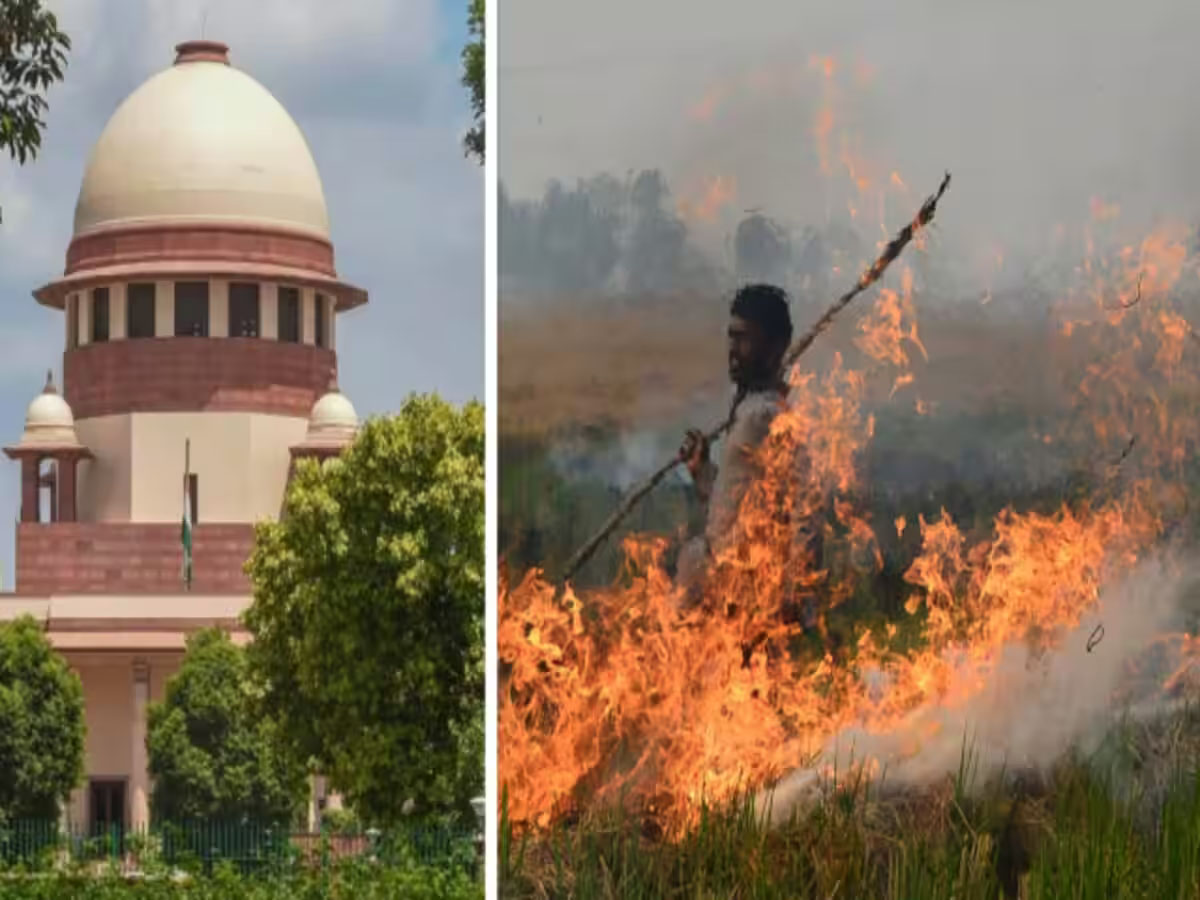 उम्मीद करते हैं, अगले साल तक कुछ कर लोगे, पलूशन पर सरकारों से बोला SC