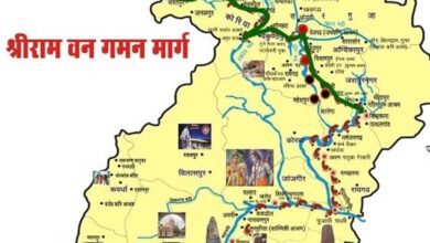 चित्रकूट में विकसित हो रहा है 8 हेक्टेयर में सांस्कृतिक वन