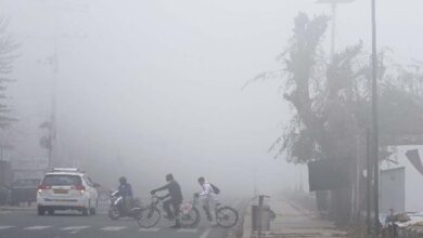 IMD Weather Forecast Today: उत्तर भारत शीतलहर की चपेट में, अगले तीन दिन तक ठंड से राहत नहीं