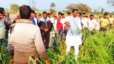 किसानों को ओलावृष्टि से प्रभावित फसलों का मुआवजा मिलेगा : राज्यमंत्री अहिरवार