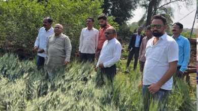 ओलावृष्टि के सर्वेक्षण और किसानों को राहत के लिए जिलों में प्रक्रिया प्रारंभ