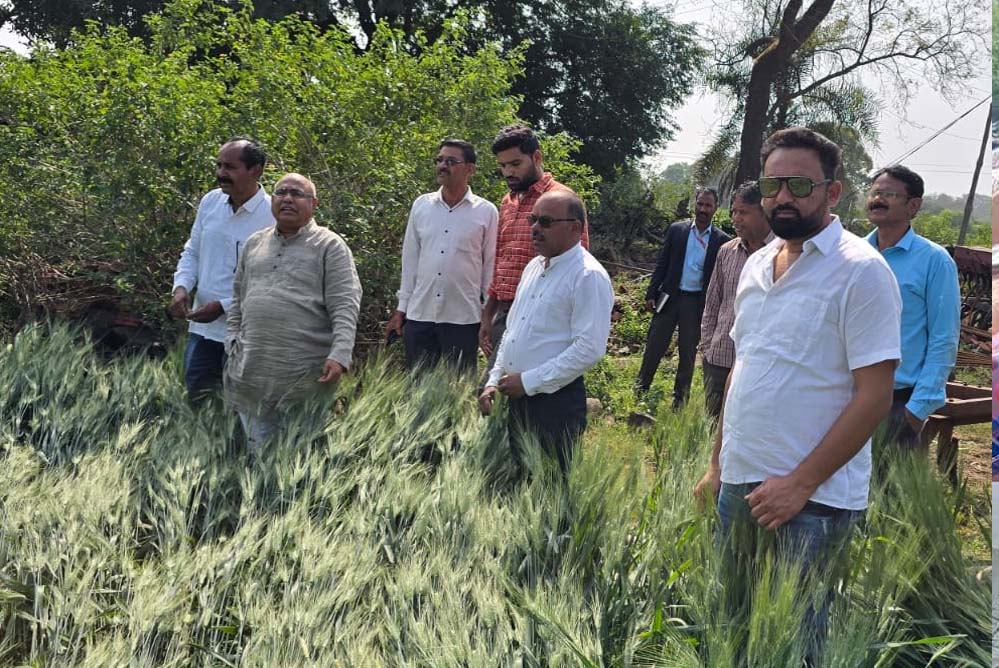 ओलावृष्टि के सर्वेक्षण और किसानों को राहत के लिए जिलों में प्रक्रिया प्रारंभ