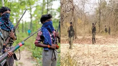 Naxalite Encounter: पुलिस मुठभेड़ में एक नक्सली ढेर, 12 बोर का बंदूक भी बरामद; सर्चिंग जारी