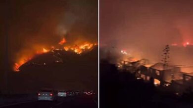 Chile Wildfire: चिली के जंगलों में लगी भीषण आग, अब तक 46 लोगों की मौत, आबादी वाले इलाकों में फैलने का खतरा