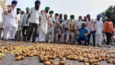 पंजाब-हरियाणा किसानों के आंदोलन के बीच जहां लोगों के आवागमन पर असर पड़ा, बढ़े इन सब्जियों के दाम