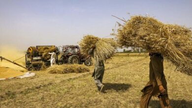 पाकिस्तान के 61 प्रतिशत से अधिक लोग ग्रामीण क्षेत्रों में रहते हैं, कृषि क्षेत्र को दुरुस्त करने के लिए नहीं बचा समय