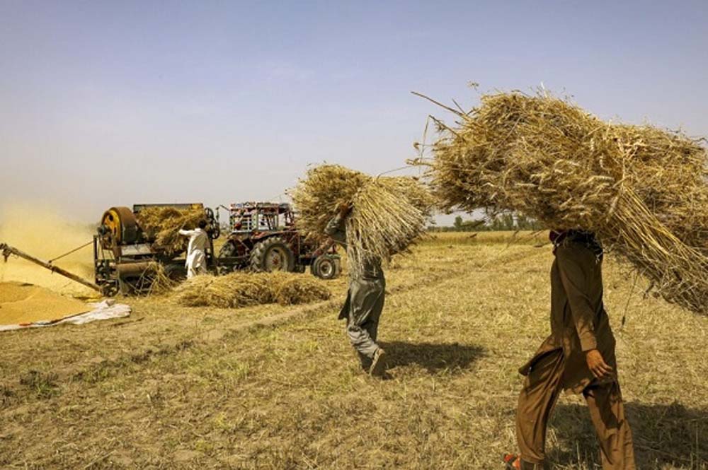 पाकिस्तान के 61 प्रतिशत से अधिक लोग ग्रामीण क्षेत्रों में रहते हैं, कृषि क्षेत्र को दुरुस्त करने के लिए नहीं बचा समय