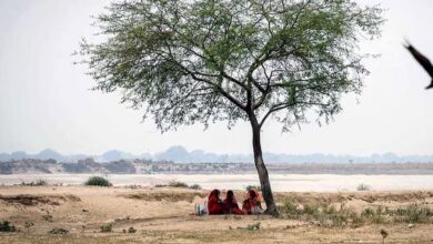 अगले तीन महीनों में दुनिया के अलग-अलग हिस्सों में पारा सर चढ़कर बोलेगा,WMO ने जारी किया अलर्ट !