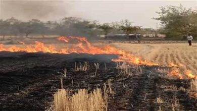 खेत में आग बुझाने के दौरान 60 वर्षीय वृद्ध मजदूर जिंदा जला