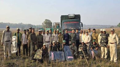 कान्हा के बारासिंघा सतपुडा टायगर रिजर्व रवाना