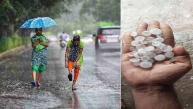 छत्तीसगढ़ में बारिश ने लोगों को दी गर्मी से राहत, आठ डिग्री तक गिरा रायपुर का पारा