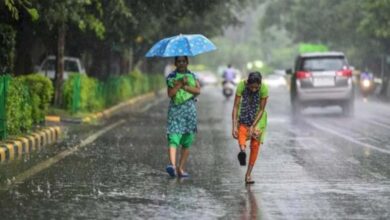 देश के अलग राज्यों में लू और गर्मी की तपिश से लोगों का हाल बेहाल, भीषण गर्मी के कहर से मिलेगी राहत