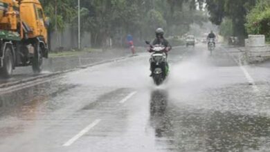 Monsoon Update : दिल्ली, हरियाणा, उत्तर प्रदेश समेत 20 से ज्यादा राज्यों में अच्छी बारिश की संभावना