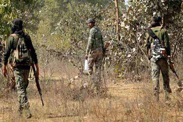 गोगुंडा की पहाड़ी में हुई मुठभेड़, जवाबी कार्रवाई में भाग खड़े हुए नक्सली