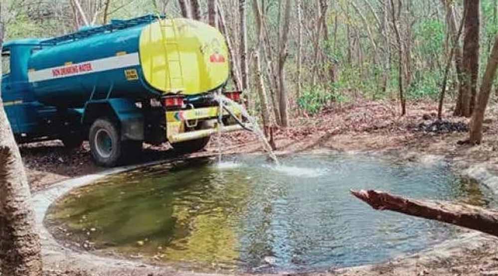 वन विभाग के प्रयासों का असर, जंगल में बनाए गए जलकुंड, आबादी क्षेत्र में नहीं आ रहे जानवर