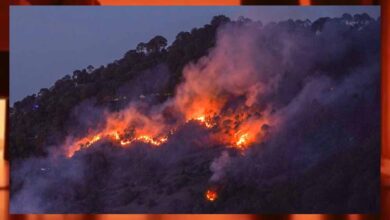 उत्तराखंड के जंगलों में अब तक आग की 1038 घटनाएं हुईं, 1385. 848 हैक्टेयर वन क्षेत्र प्रभावित