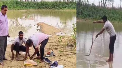 प्रशासन ने ‘नागदेवता’ का रेस्क्यू कर जंगल में छोड़ा, कोरिया के ग्रामीण करते रहे ले जाने का विरोध