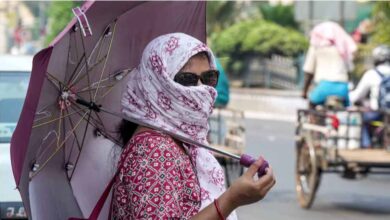 दिल्ली-एनसीआर, उत्तर प्रदेश और बिहार समेत पूरे उत्तर भारत में इन दिनों भीषण गर्मी पड़ रही