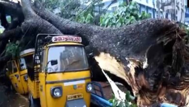 केरल में मानसून से पहले ही जोरदार बारिश, एर्नाकुलम के कुछ हिस्सों में जलजमाव की स्थिति बनी, अलर्ट जारी