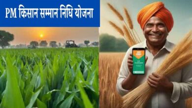 PM Kisan Scheme में अब खटाखट आएगा पैसा… जानें कब आएगी पीएम किसान सम्मान निधि की 17 वीं किस्त