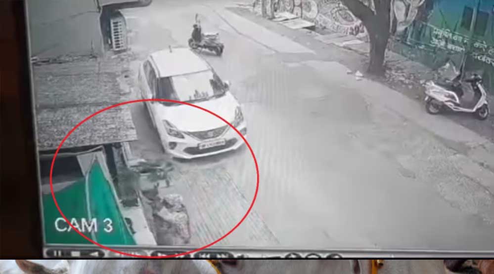 मुंह पर कपड़ा बांधकर आई…; स्कूटी वाली महिला का ‘कांड’ हो गया वायरल मुंह पर कपड़ा बांधकर आई…; स्कूटी वाली महिला का ‘कांड’ हो गया वायरल
