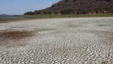 भोपाल में हो जाएगी पानी की कमी? अपर लेक का जलस्तर लगातार हो रहा कम