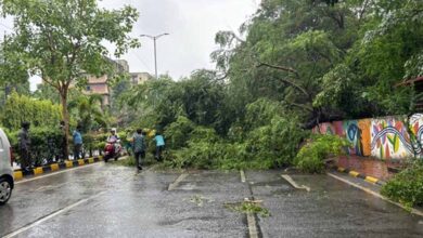 इंदौर में खुशनुमा मौसम से शहरवासियों को गर्मी और उसम से राहत मिली, 25 जून तक आ सकता है मानसून