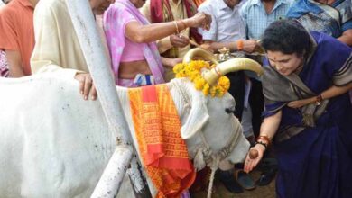 गौ-माता की सेवा से पूर्वजों की सेवा होती है: राज्यमंत्री (स्वतंत्र प्रभार) श्रीमती गौर