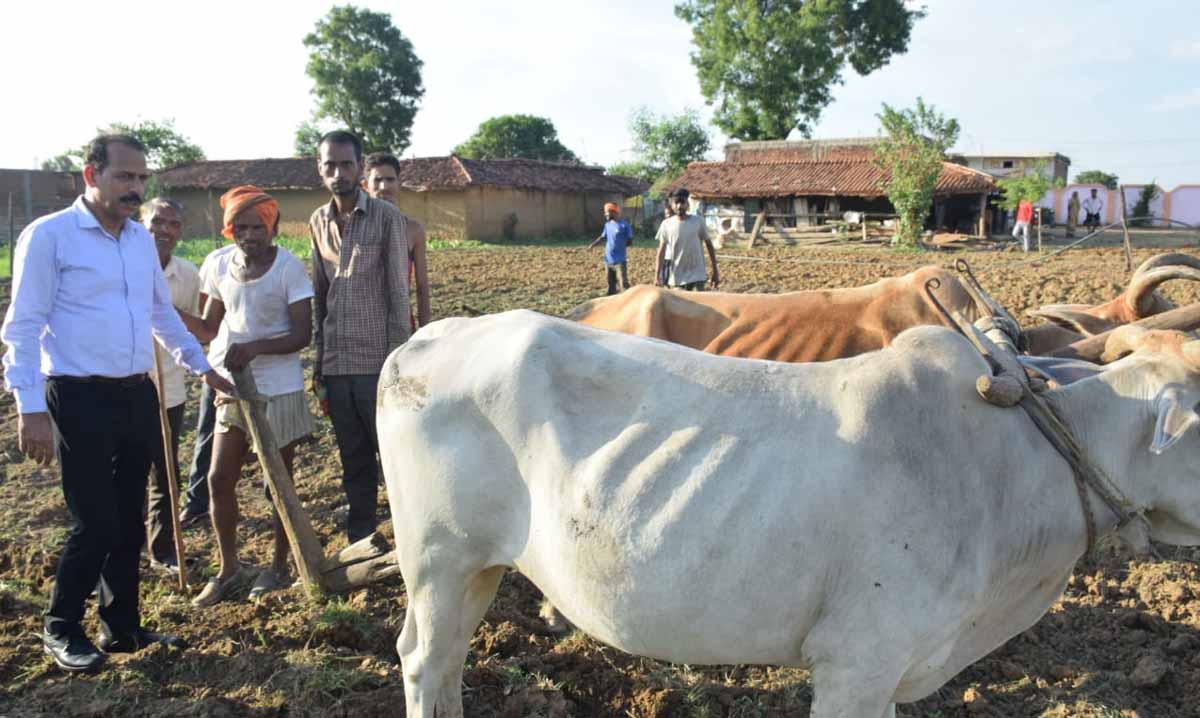 किसानो की समस्याओं अगवत होकर राजस्व महाअभियान की कलेक्टर ने दी जानकारी