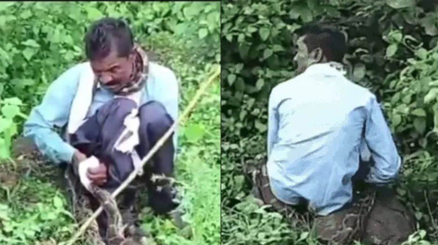 झाड़ियों में बैठकर शौच कर रहे युवक को अजगर ने जकड़ा, ग्रामीणों ने लाठी से हमला कर युवक को छुडाया झाड़ियों में बैठकर शौच कर रहे युवक को अजगर ने जकड़ा, ग्रामीणों ने लाठी से हमला कर युवक को छुडाया