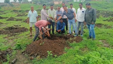 एक पौधा मां के नाम अंतर्गत ग्राम पंचायत ज्ञानपुरा में किया पौधरोपण