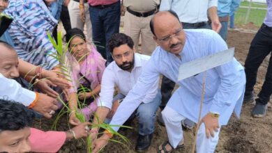 कलेक्टर ने ‘‘एक पेड़ मां के नाम’’ अभियान का जिले में पौधारोपण कर किया शुभारंभ