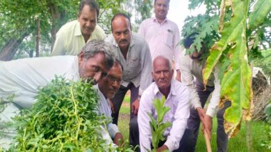 राम सिंह यादव ने किया वक्षारोपण का कार्यक्रम सभी लोगों ने मिलकर शपथ ली की कम से कम एक वृक्ष अवश्य लगाएं