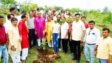 भोपाल में वृक्षारोपण कर नगर निगम अध्यक्ष ने लोगों को किया आह्वान