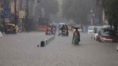 छत्तीसगढ़-सुकमा से खैरागढ़ तक में होगी भारी बारिश, मौसम विभाग का येलो अलर्ट