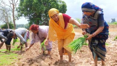 अन्नदाताओं की समृद्धि का आधार है खेती : पीएचई मंत्री उइके