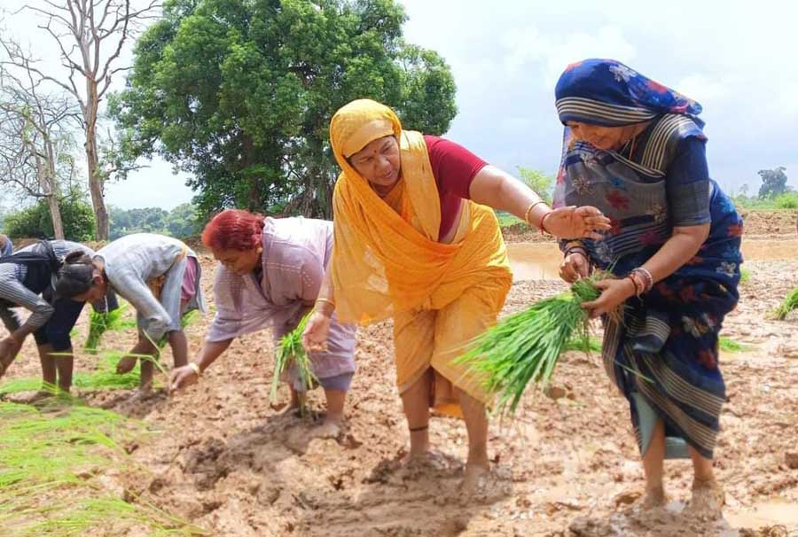 अन्नदाताओं की समृद्धि का आधार है खेती : पीएचई मंत्री उइके